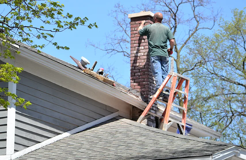 Chimney & Fireplace Inspections Services in Biloxi, MS